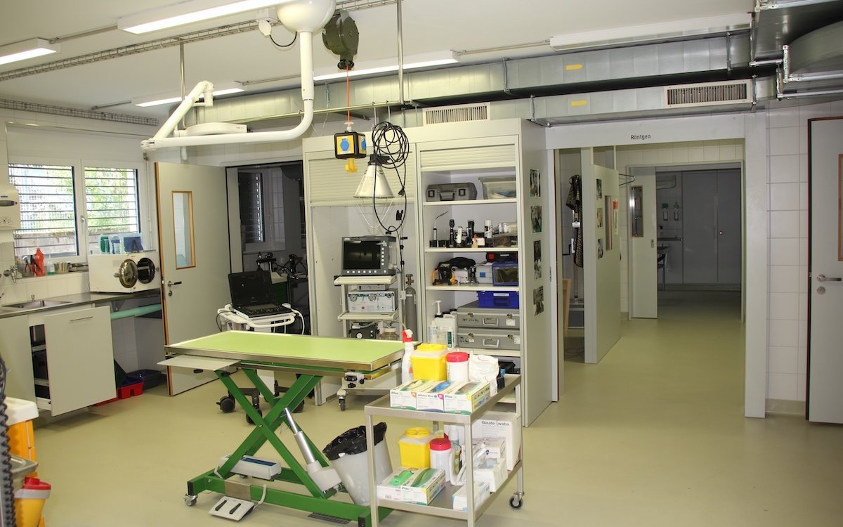 Blick in den Operationssaal der Veterinärklinik des Zoos Basel. 