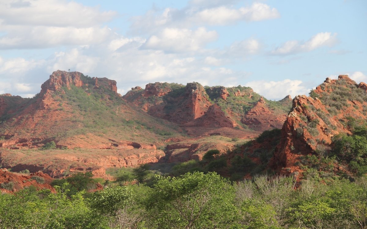 Der Nordosten Brasiliens in Bahia ist von einer Trockenvegetation und von tafelartigen Bergen durchzogen. 
