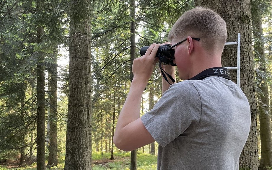 Um Vögel eindeutig identifizieren zu können, ist Simon Schürch immer mit einem Fernglas bewaffnet.