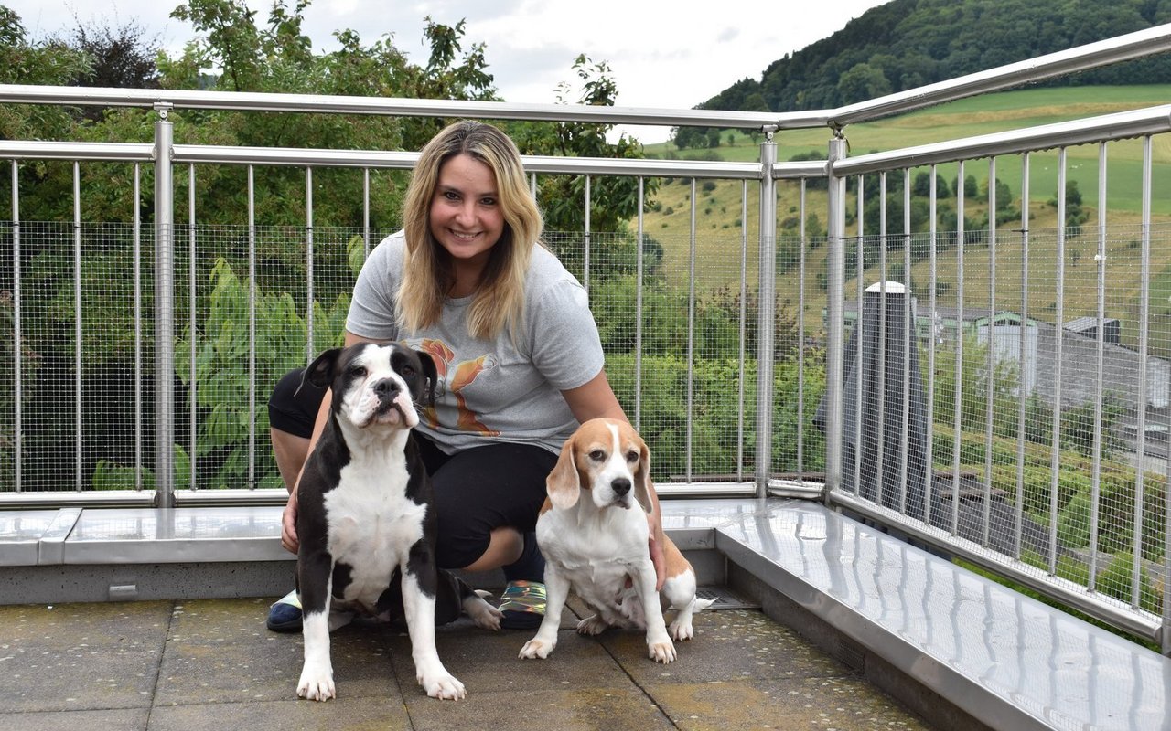 Janine Christ mit Conti-Dame Lotti, der Tochter von Kira, und Beagle-Hündin Cleo. Im Hintergrund der Fluehberg, der dem Zwinger aus Wisen seinen Namen gab.