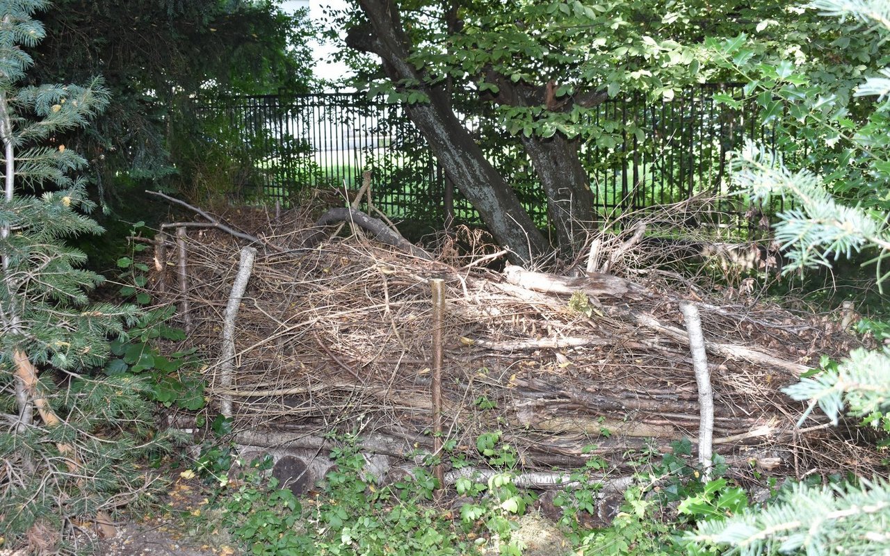 Solche Benjeshecken wie hier auf dem Friedhof Sihlfeld bilden wertvolle Lebensräume.