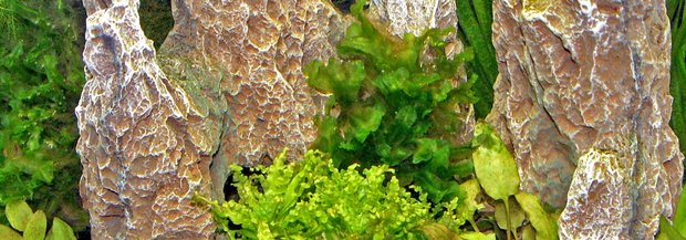 aquarium.jpg