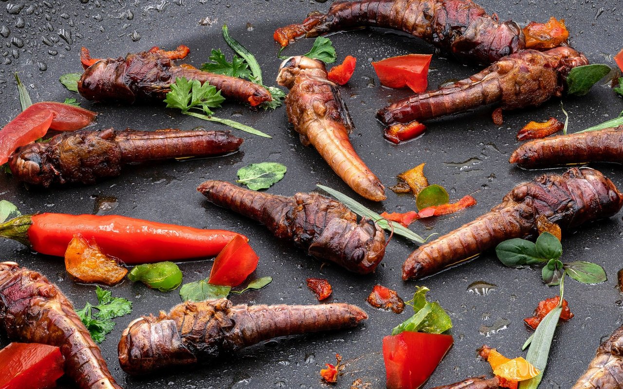 Knusprig gebratene Heuschrecken: Die Insekten
sorgen hierzulande mehr für
Ekel als für Appetit.