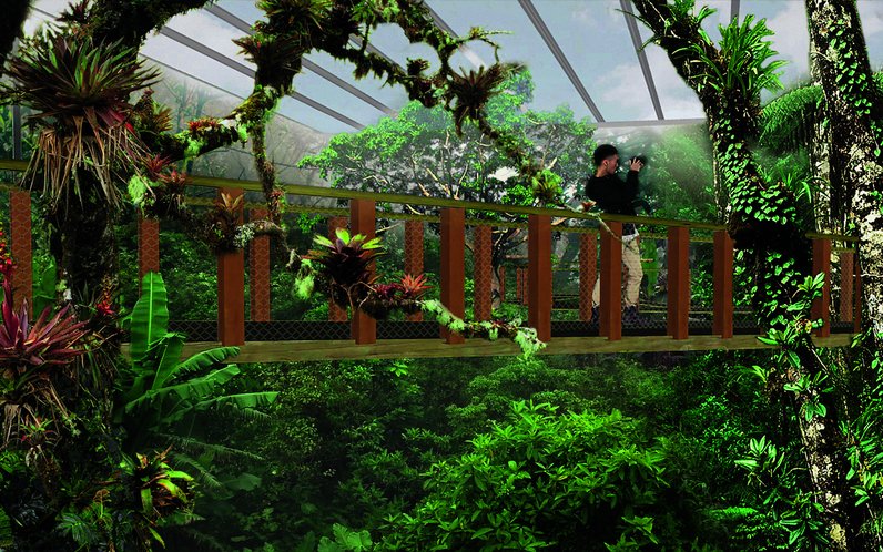 Durch die Baumgipfel im Papiliorama.