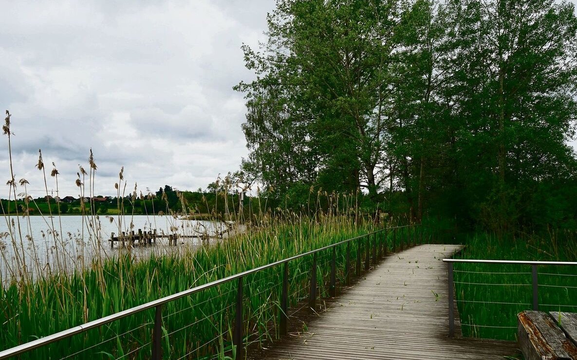 Holzstege zu Beginn der Seeumrundung.