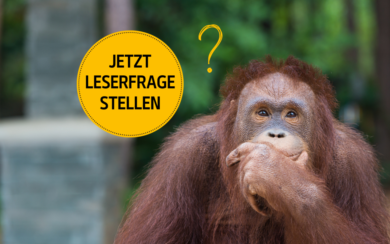 Was wollten Sie schon immer über Tiere und Natur wissen? Senden Sie uns Ihre Leserfrage zu!
