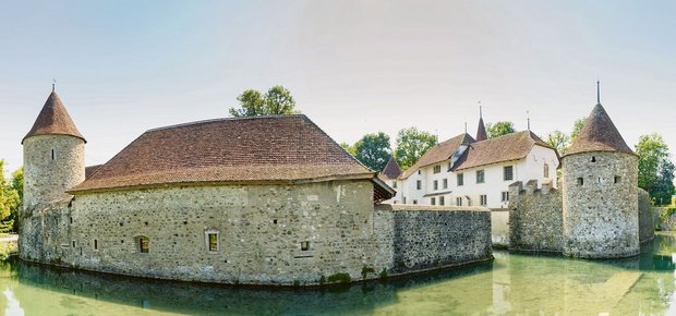 Das Wasserschloss Hallwyl ist eines der bedeutendsten der Schweiz. Die Scharten und Vertiefungen in den Mauern werden von Dohlen besiedelt. 