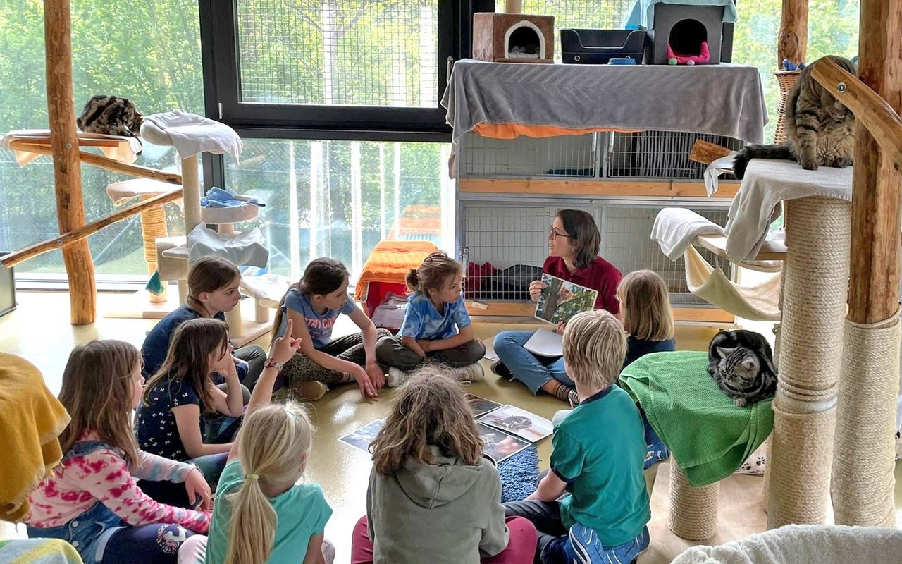Vor dem ersten Vorlesen lernt jedes Kind in einem Workshop das Verhalten und die Bedürfnisse der Katzen kennen.

