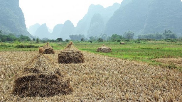 landwirtschaft_china