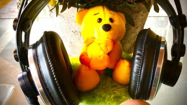 Tierwelt-Spotify-Liste 13-2021