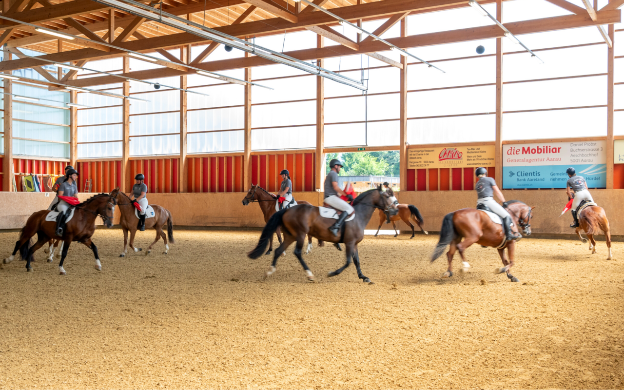 Die Reitquadrille der Interessensgemeinschaft Freiberger
reitet verschiedene Formationen.