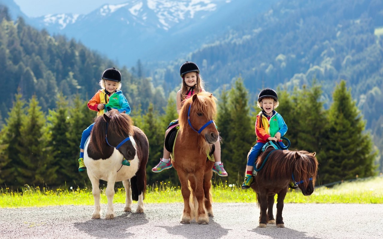 Shetlandponys sind heute beliebt bei Kindern. Die lernwilligen und klugen Tiere müssen ausgelastet werden. 