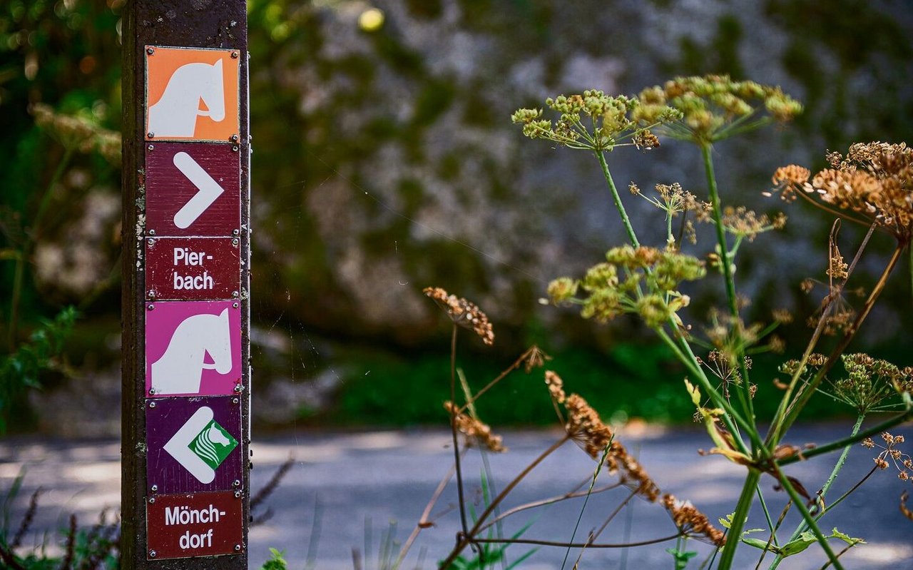 Das Reitwegnetz, mit den verschiedenen Routen, ist bestens ausgeschildert.