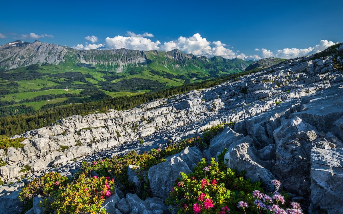 Einmalige Karstlandschaft bei der Schrattenfluh. 