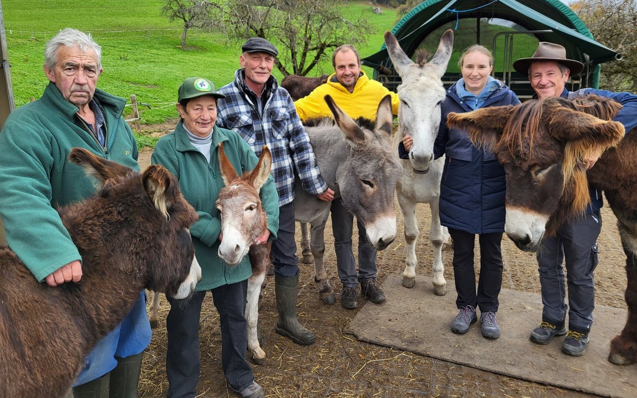 Das Kernteam der Asinerie Schürmatt (v.l.): Sepp Wallimann mit einem Katalanischen Esel, Madeleine Ackermann mit dem Mini-Mischling, Urs Bohnenblust mit einem Hausesel, Adrian Felder, Samira Truttmann mit einem Andalusischen Riesenesel und Urs Ehrenzeller mit dem Poitou.