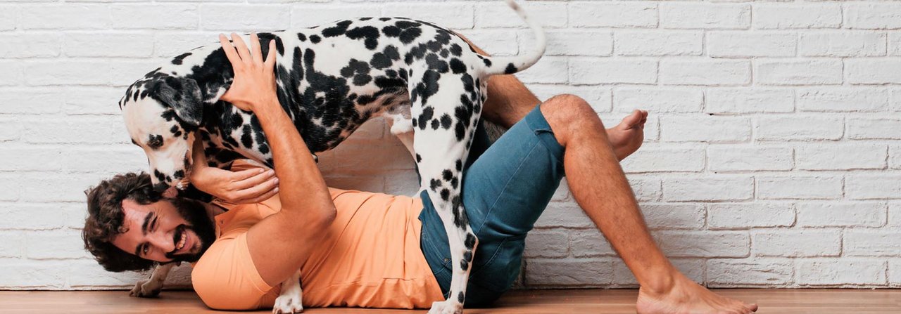 Rumbalgen mit Hund darf auch mal körperbetont sein. 
Der Vierbeiner lernt dabei Grenzen zu respektieren.