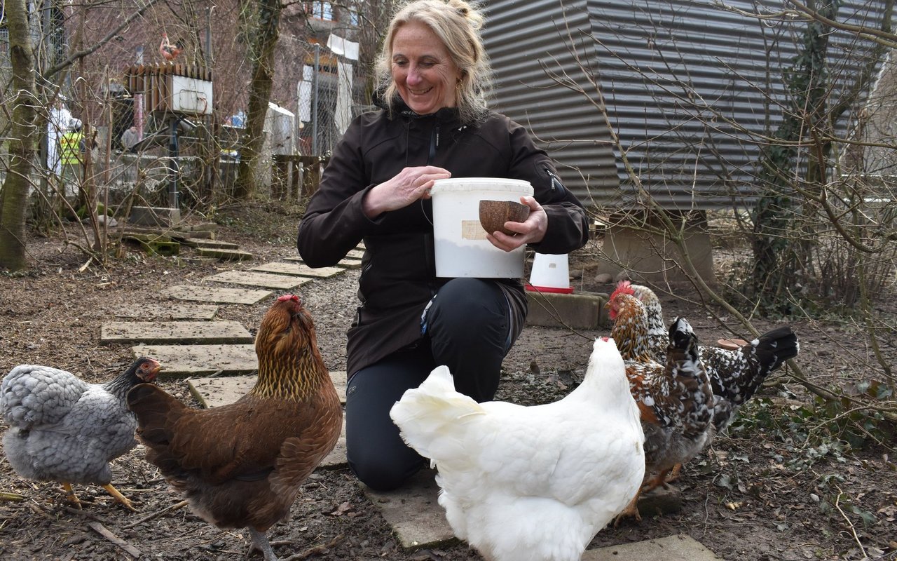 Anja Sitter hatte zwar ursprünglich nichts mit Hühnern am Hut, findet die Tiere heute aber  «einfach wunderbar».