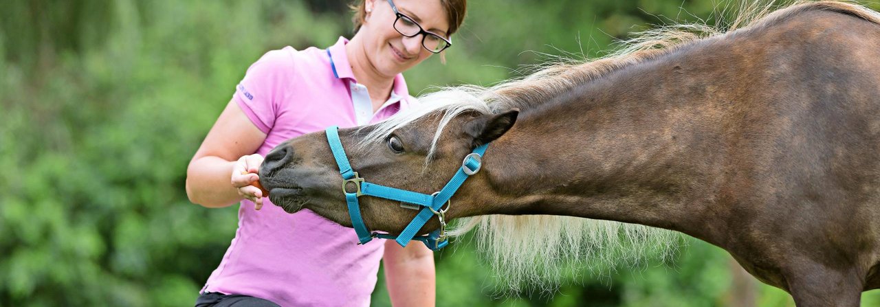 Die Pferdephysiotherapeutin Katrin Obst hilft verspannten Rössern mit Pilatesübungen.