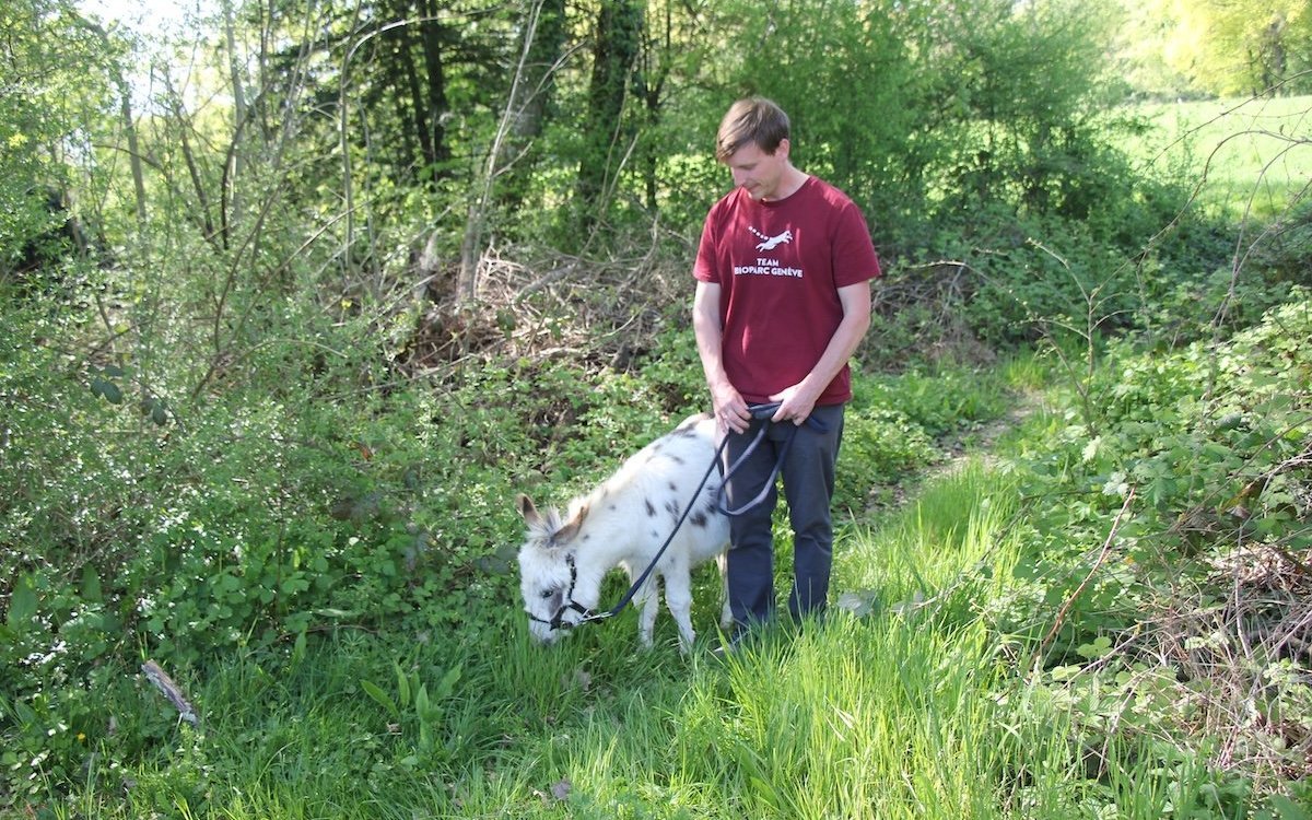 Dr. Tobias Blaha mit dem Amerikanischen Miniesel Pablo. 
