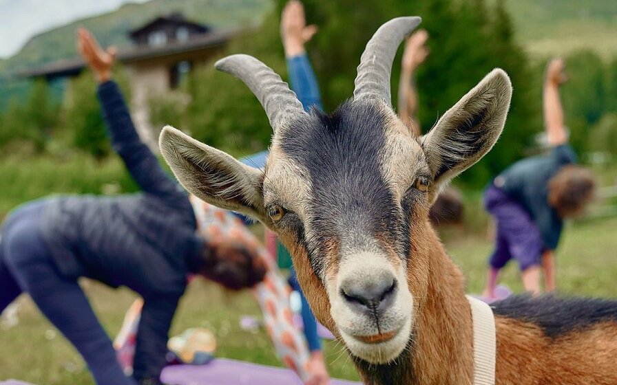 Geissen Yoga