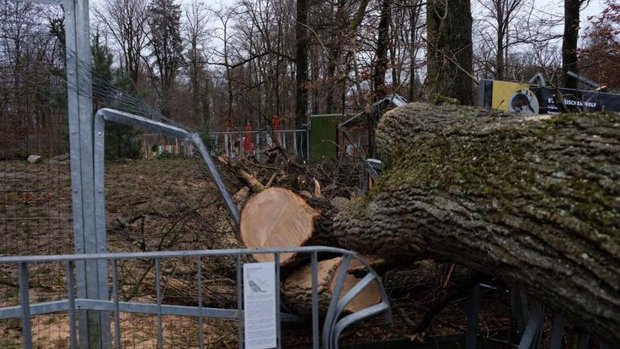 Unwetterschäden im Dählhölzli
