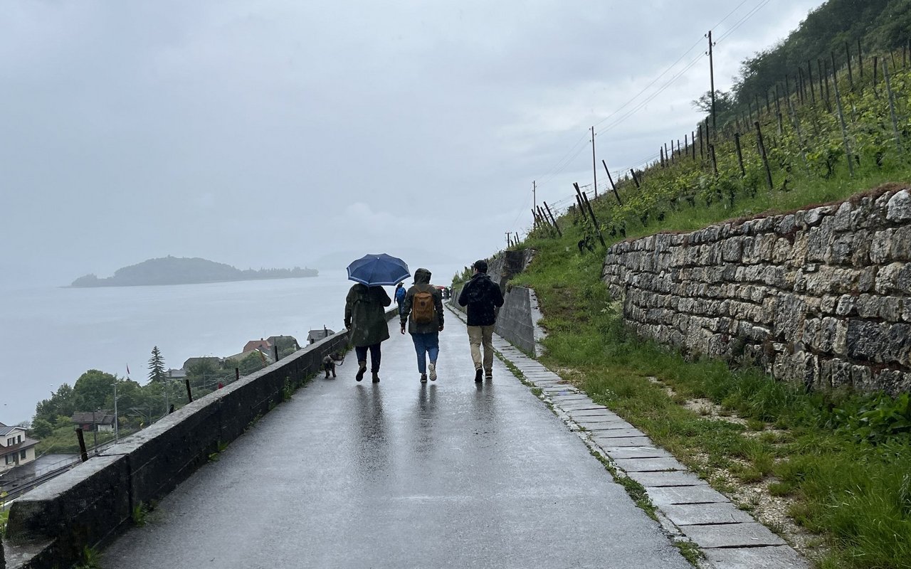 Der Regen machte uns beim Weg von Biel nach Twann einen Strich durch die Rechnung.