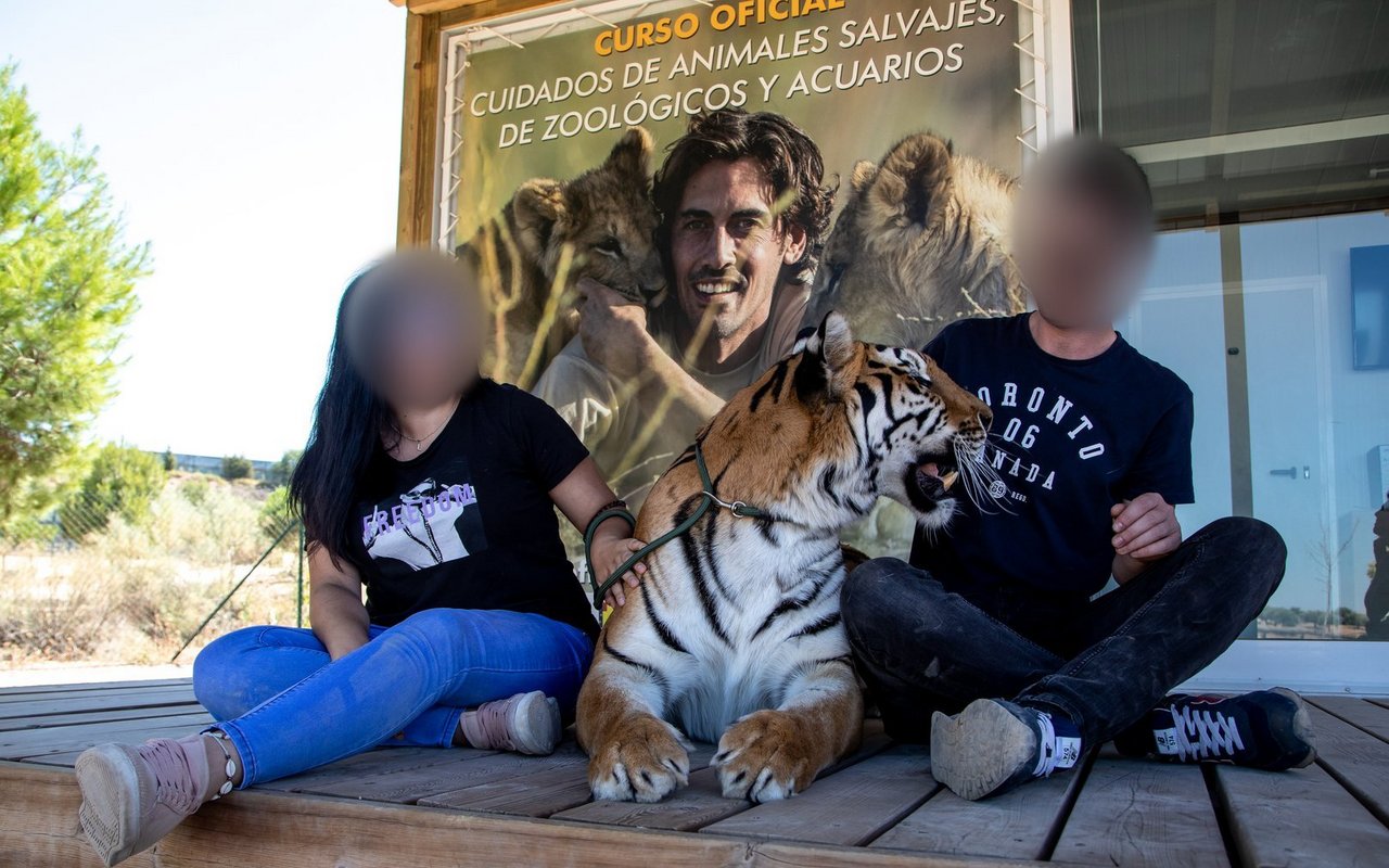 Angebote, die Fotos mit Tieren in Aussicht stellen, sollten nicht unterstützt werden.