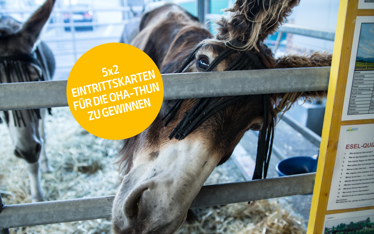 Mit dem Ausfüllen des Formulars sichern Sie sich die Chance, 2 Tickets für die diesjährige OHA in Thun zu gewinnen.
