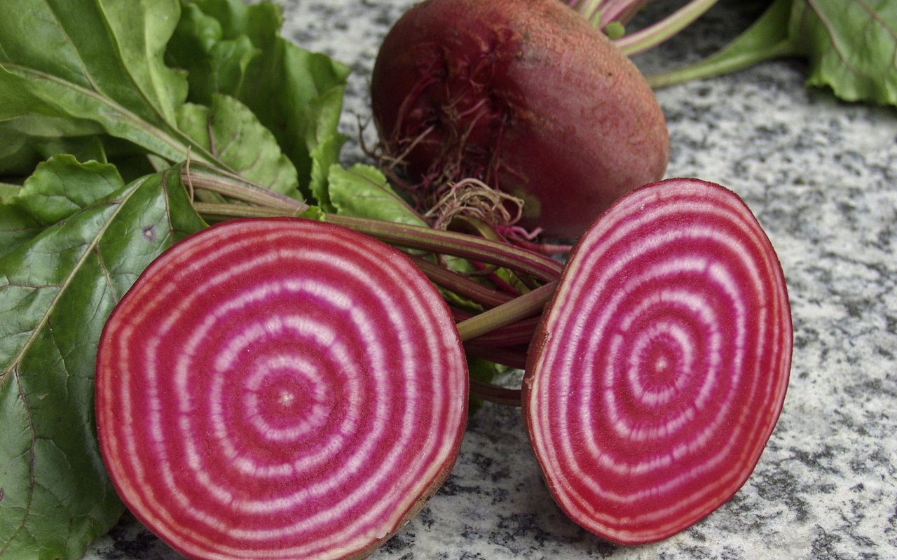 Chioggia Rande
