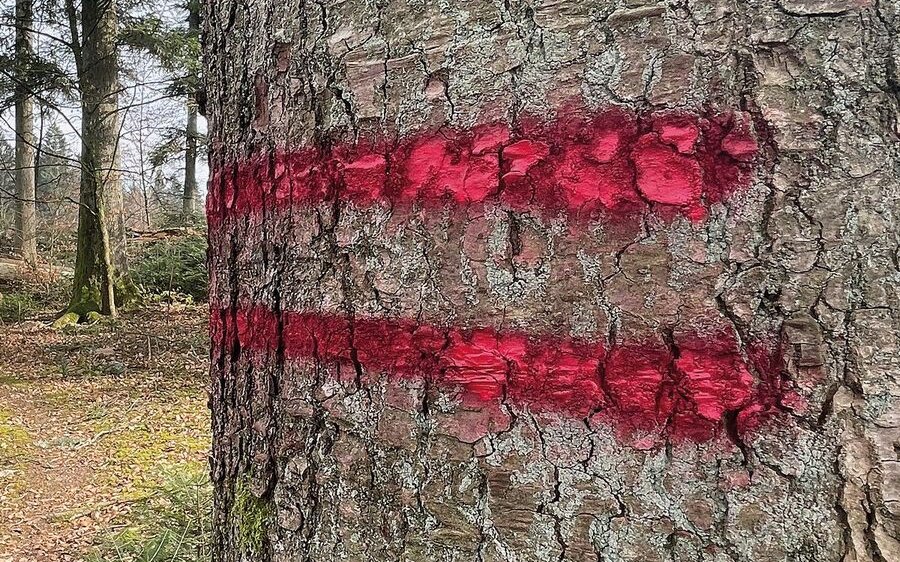 Zwei horizontale Striche zieren den Lieblingsbaum – wird er nun gefällt? Nein, diese Graffiti bezeichnet den Gassenrand.  