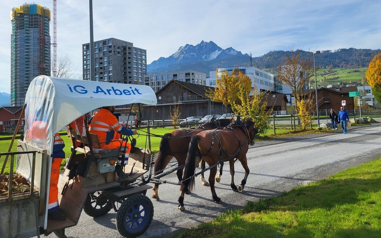 Durch die Quartierstrassen der Allmend lassen sich die Pferde gut manövrieren.
