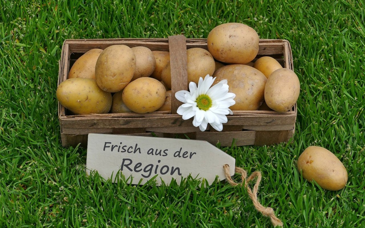 Wer regional und saisonal einkaufen will, und das rund um die Uhr, kann in Selbstbedienungsläden seinen Einkauf erledigen.