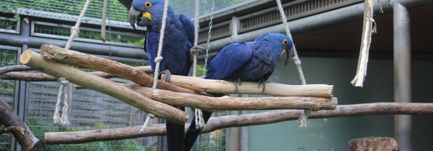 IMG_0008.JPG