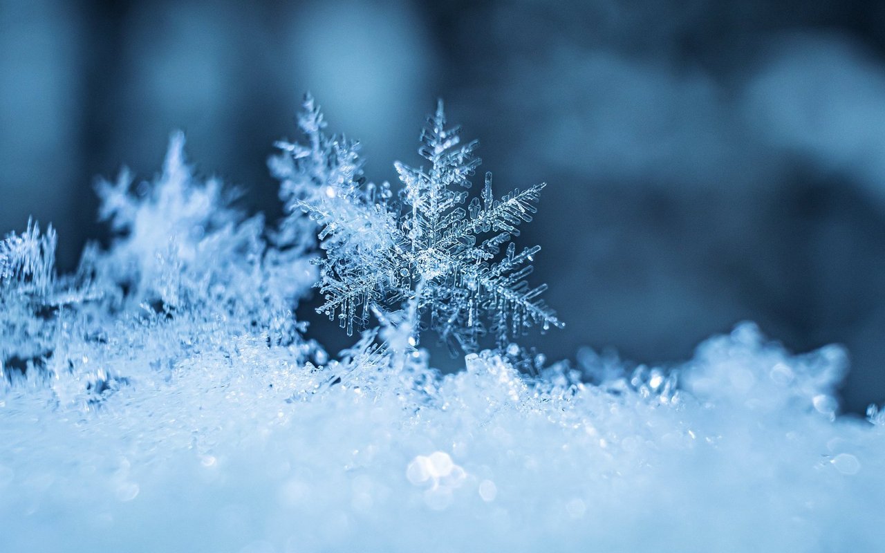 Schneeflocken. 