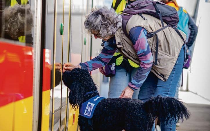 Blindenhunde ermöglichen Menschen mit Sehbehinderung ein Stück Freiheit.
