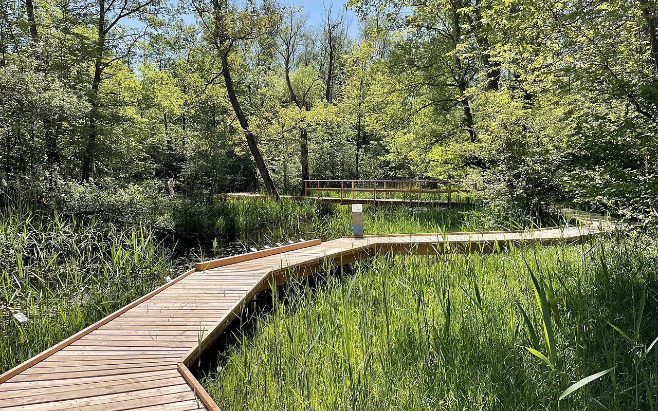 Der Erlebnispark durch die Thurauen gehört zu den Highlights des Naturparks Schaffhausen.