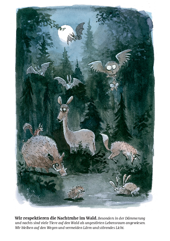 In der Nacht bleiben wir nach Möglichkeit dem Wald fern.
