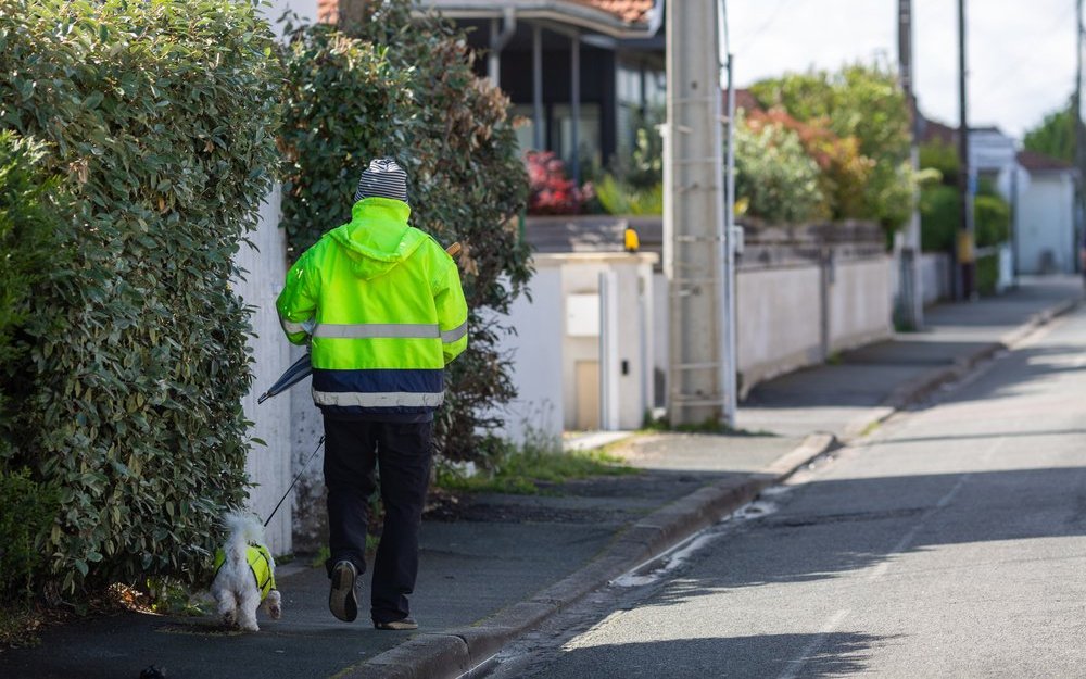 Im Dunkeln ist die Unfallgefahr doppelt so hoch – deshalb ist gute Sichtbarkeit für Sie und Ihr Tier essenziell.