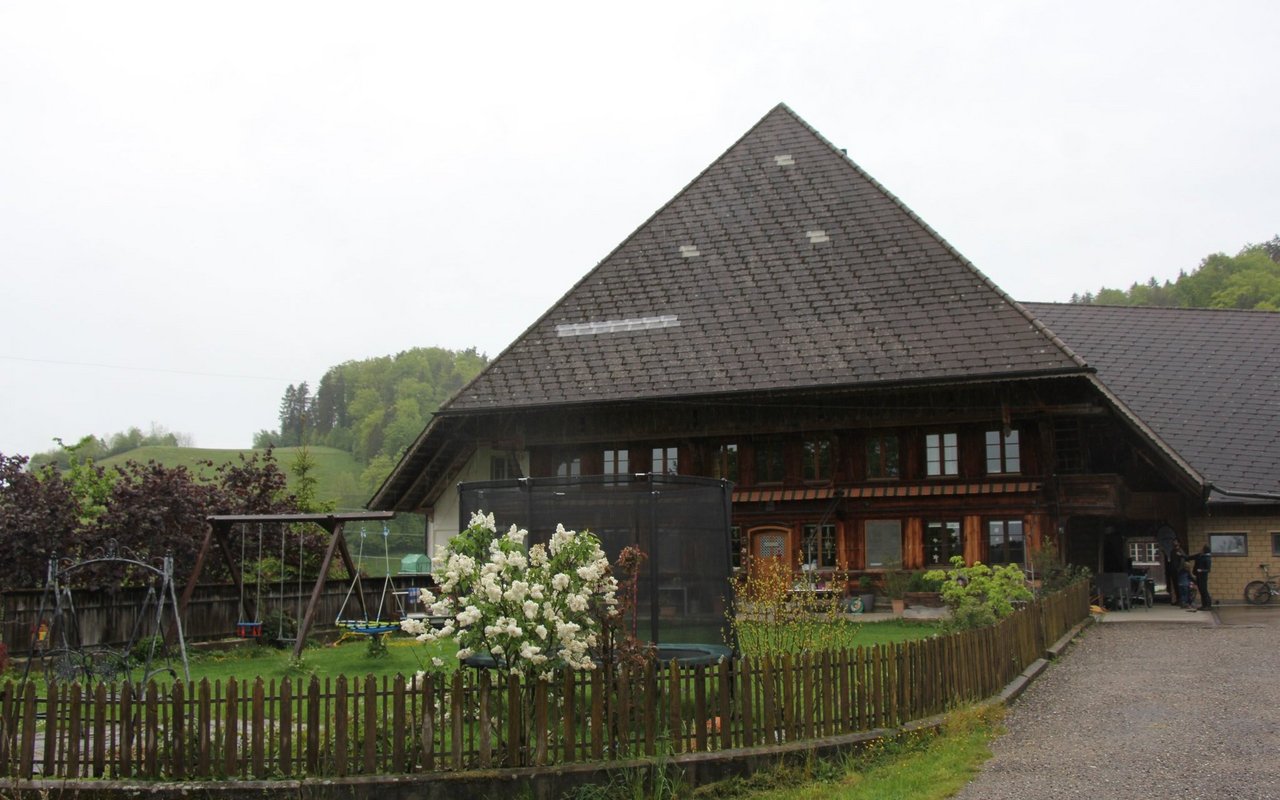 Im Stall dieses behäbigen Emmentaler Hofs werden Zander gemästet. 