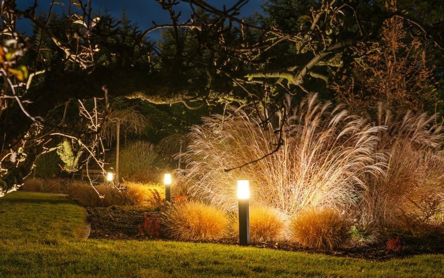 In jeder Sommernacht sterben etwa 10 Millionen Insekten durch Aussenbeleuchtung.