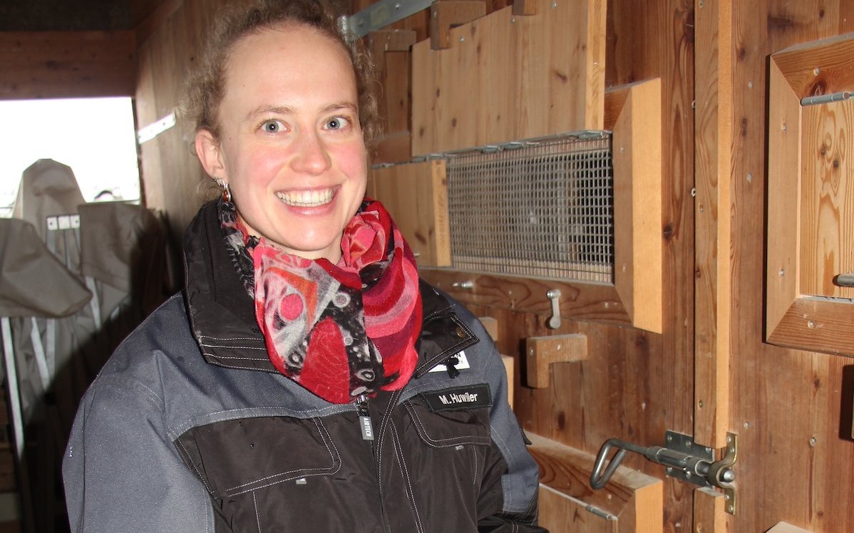 Meret Huwiler, Kuratorin für Vögel und Huftiere des Tierparks Bern, beim Füttern der Tauben vor dem Schlag. 