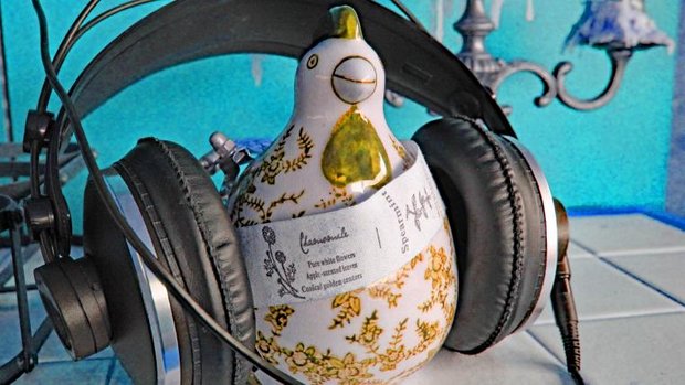 Tierwelt-Spotify-Liste 17-2021