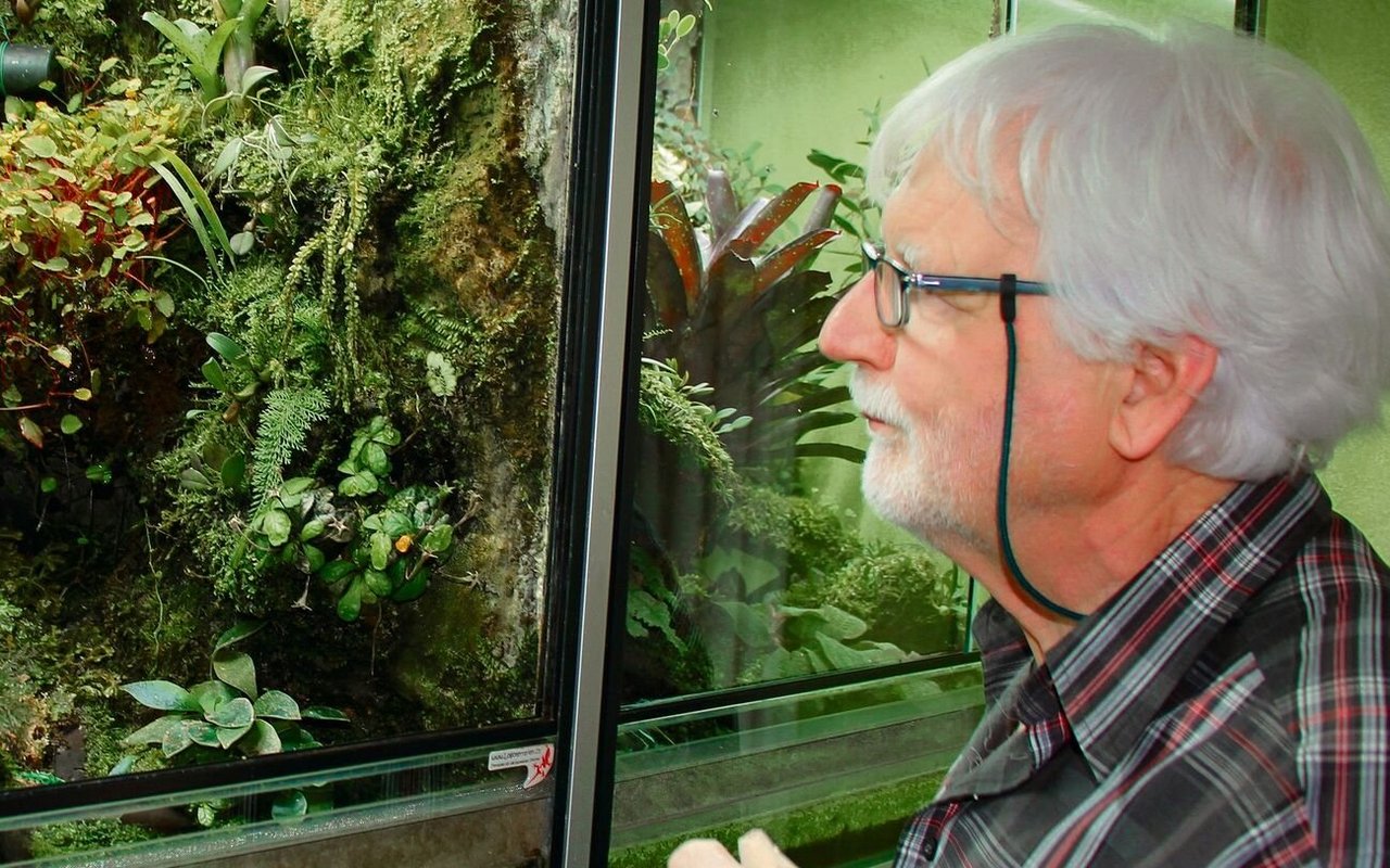 René Waldner beschäftigt sich täglich intensiv mit seinen Terrarien.