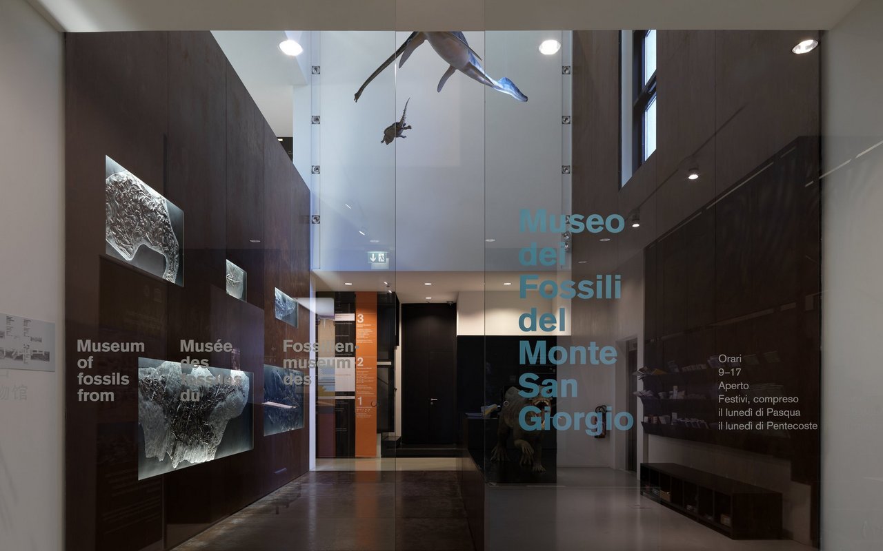 Das Fossilienmuseum am Monte San Giorgio hat eine aussergewöhnliche Sammlung ausgestellt.  