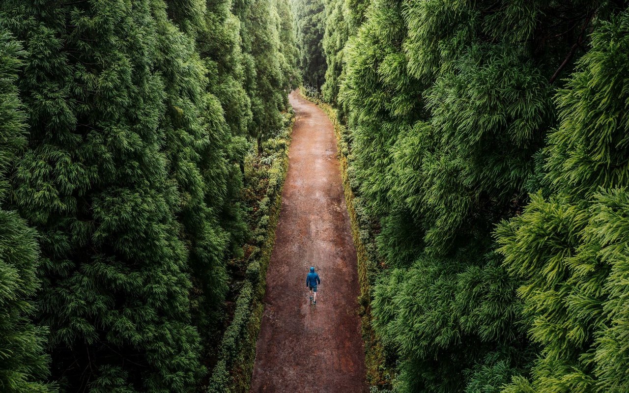 Hält man sich an einfache Verhaltensregeln, stört man beim Waldspaziergang niemanden.