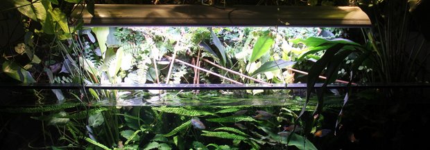 IMG_0734.JPG