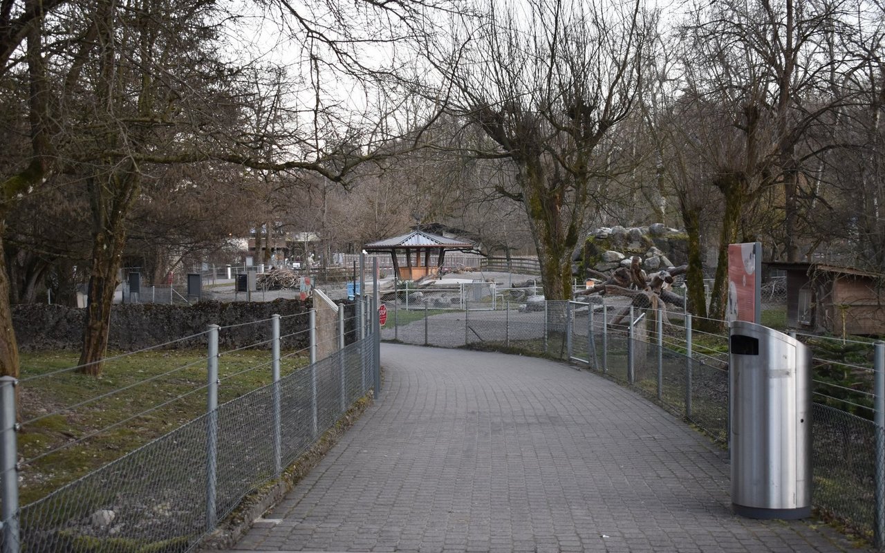Der Streichelzoo im Berner Tierpark Dählhölzli wird umstrukturiert.