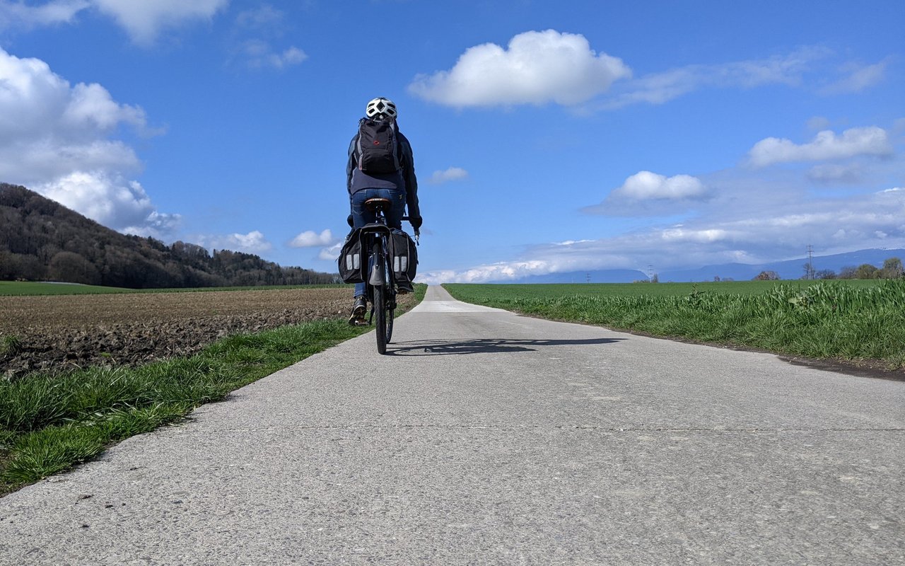 Die oft langen und ebenen Strassen im Seeland bereiten ein schönes Fahrvergnügen.