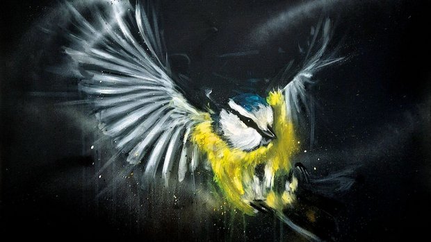 Die Blaumeise ist im Anflug. 