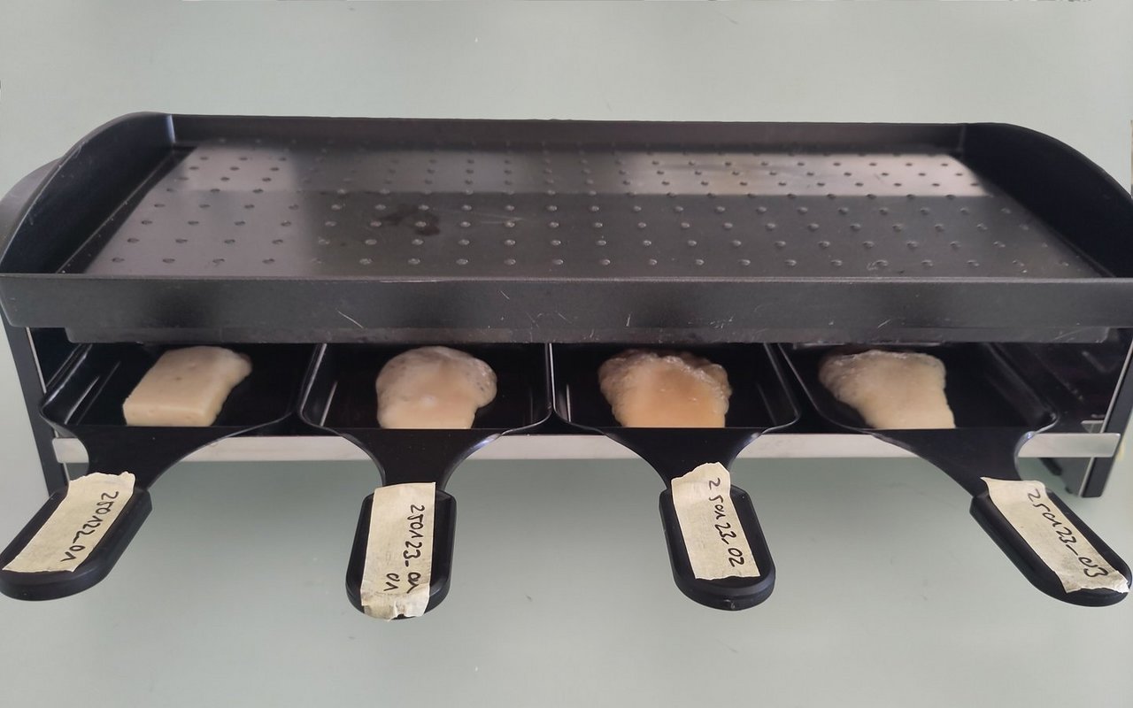 Geschmacklich überzeugte das vegane Raclette, obwohl es nicht mit echtem Käse zu verwechseln ist.